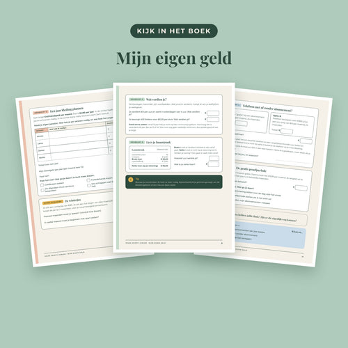Jouw Grippy Junior — Mijn eigen geld werkboek (12 tot 15 jaar)