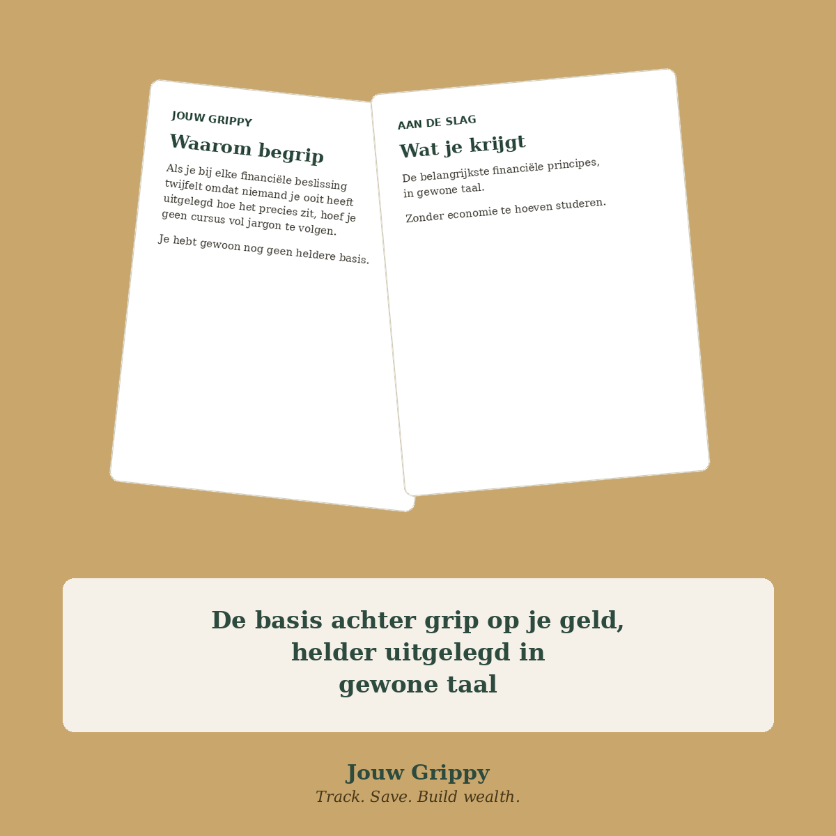 Jouw Grippy — De Theorie