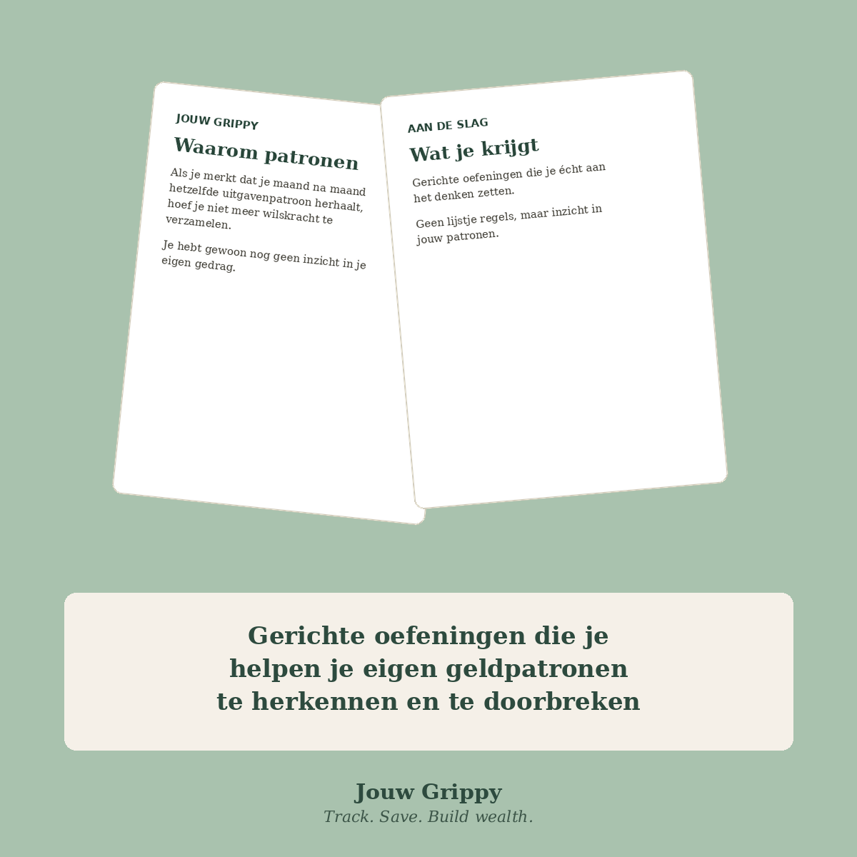 Jouw Grippy — Het Werkboek